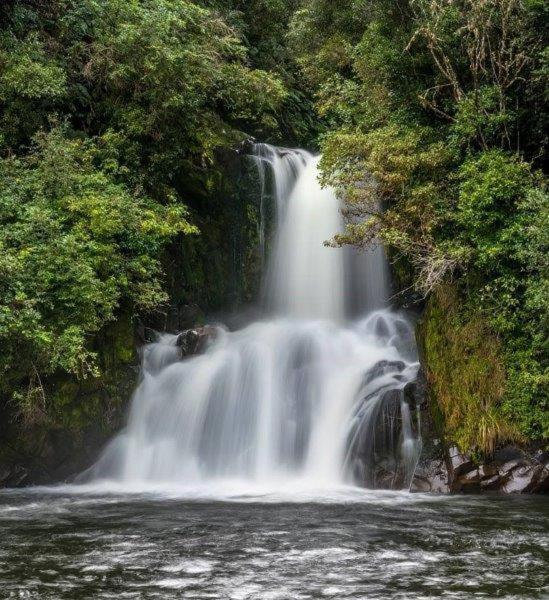 Blackfern Lodge Waimiha ภายนอก รูปภาพ
